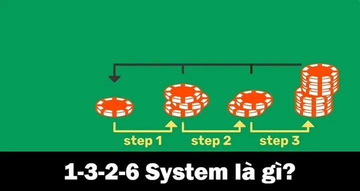 1-3-2-6 System được hiểu là gì?