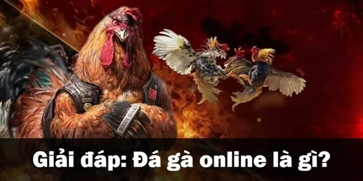Đá gà online là gì?